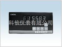 智能巡回顯示調節儀